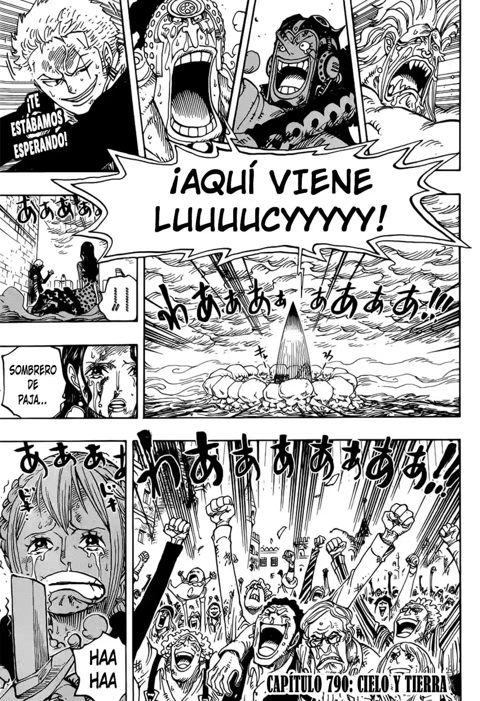 One Piece Capítulo 790 - Página 4 en español