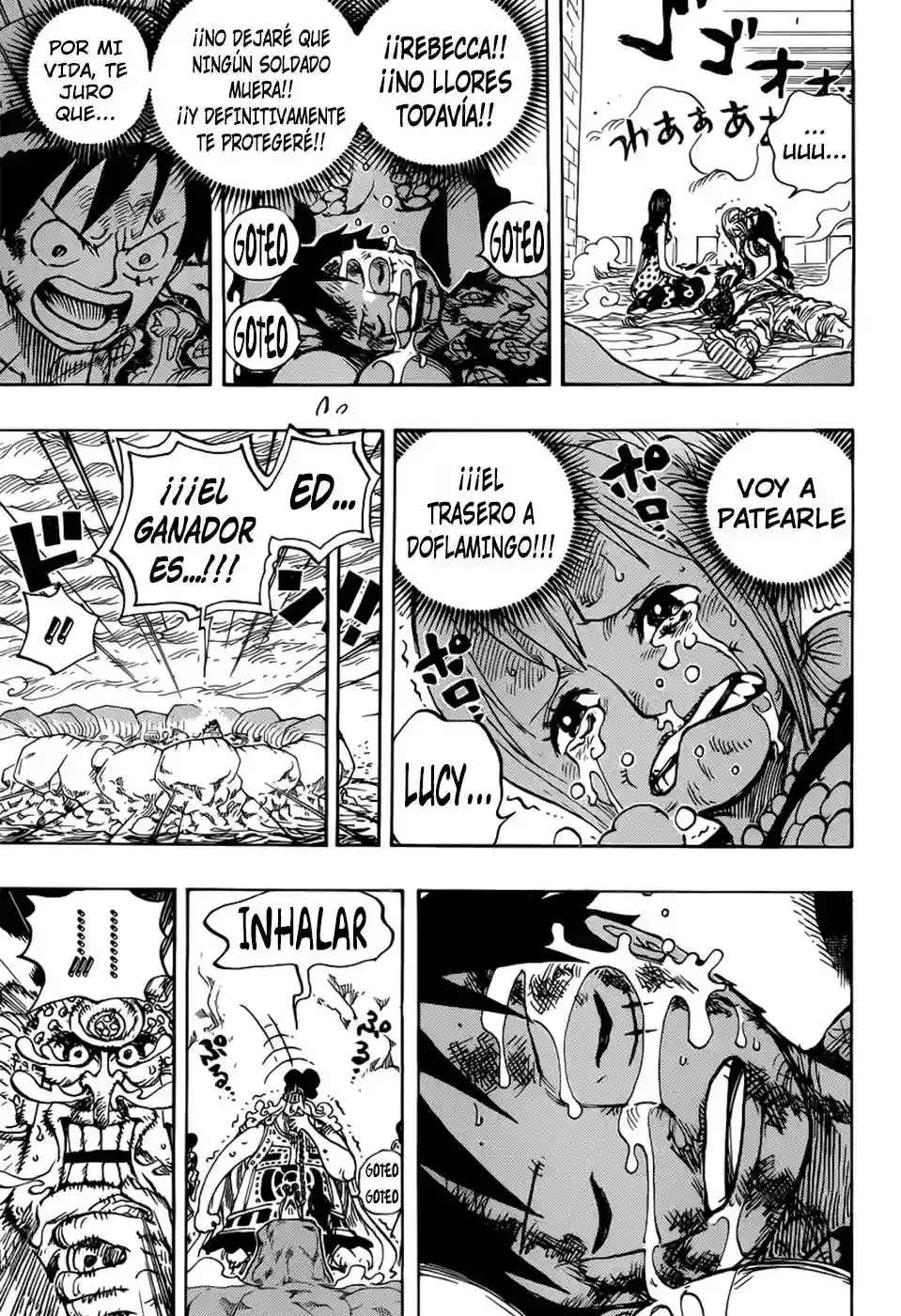 One Piece Capítulo 791 - Página 13 en español