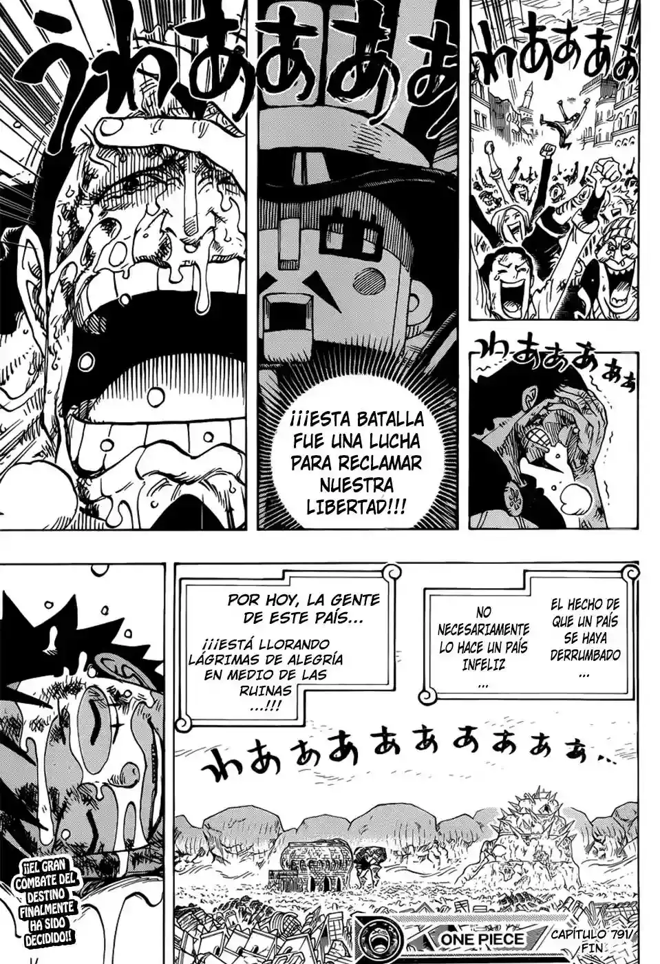 One Piece Capítulo 791 - Página 16 en español