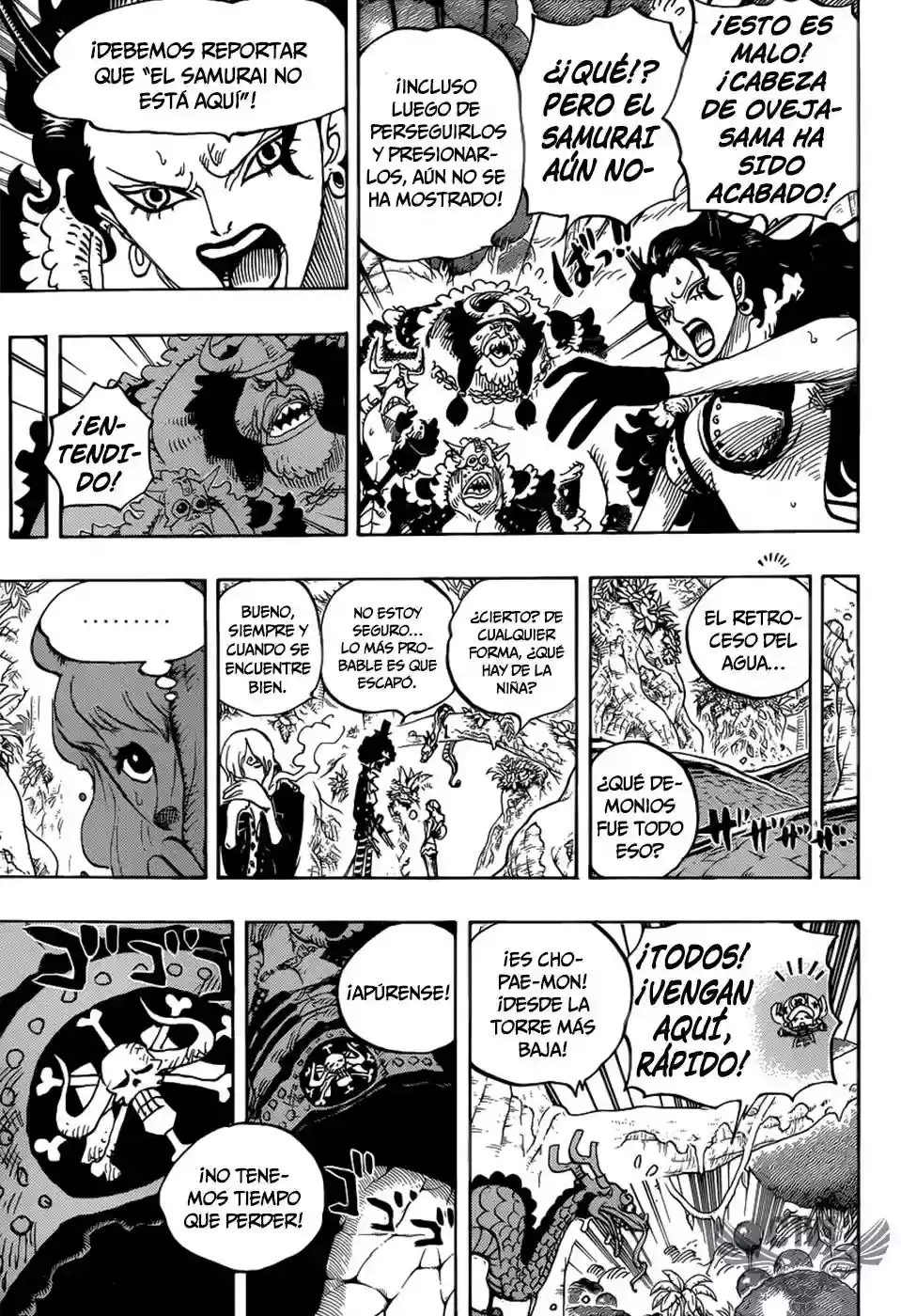 One Piece Capítulo 795 - Página 10 en español