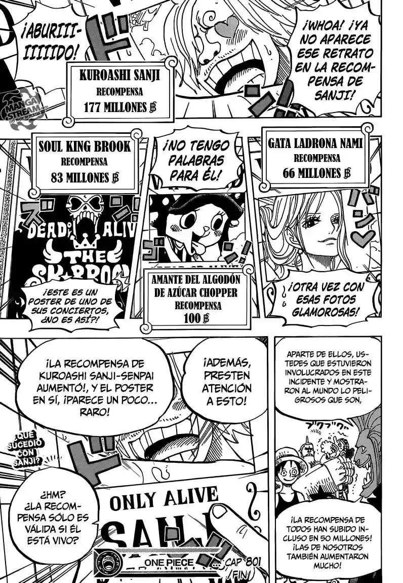 One Piece Capítulo 801 - Página 18 en español
