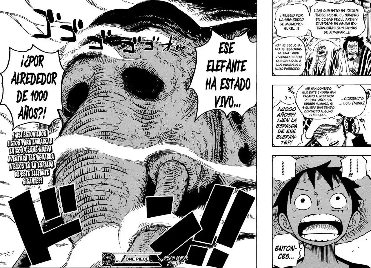 One Piece Capítulo 802 - Página 17 en español