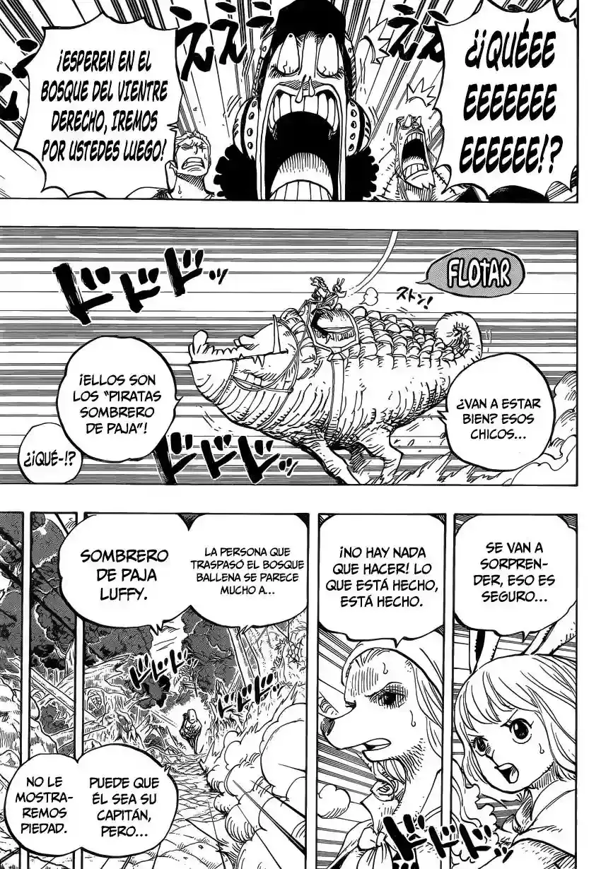 One Piece Capítulo 805 - Página 6 en español