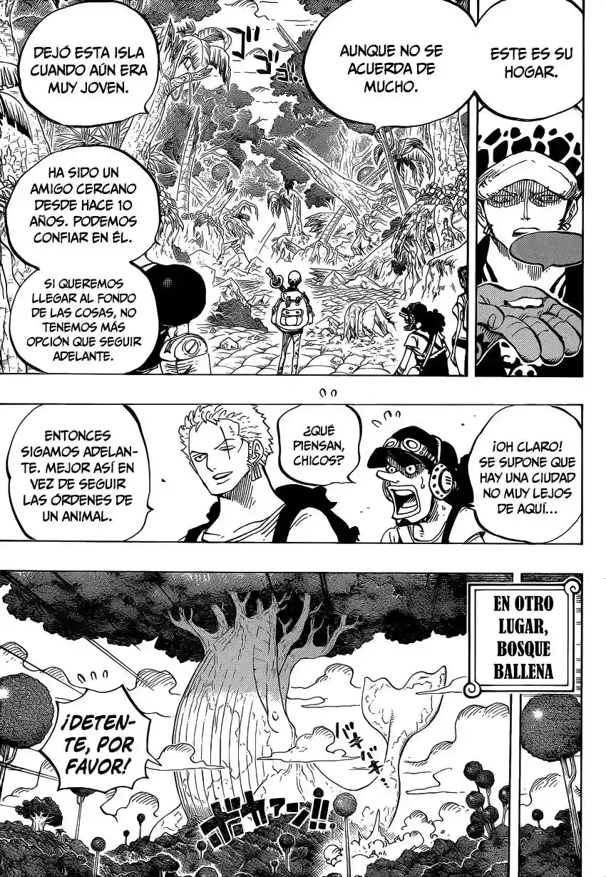 One Piece Capítulo 805 - Página 8 en español