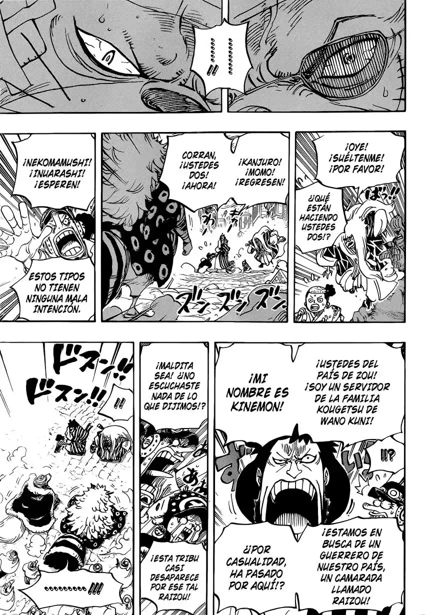 One Piece Capítulo 816 - Página 14 en español