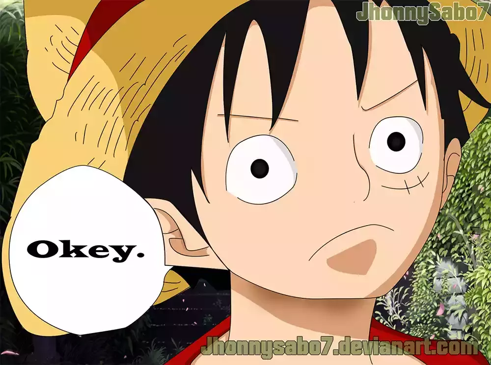 One Piece Capítulo 816 - Página 19 en español