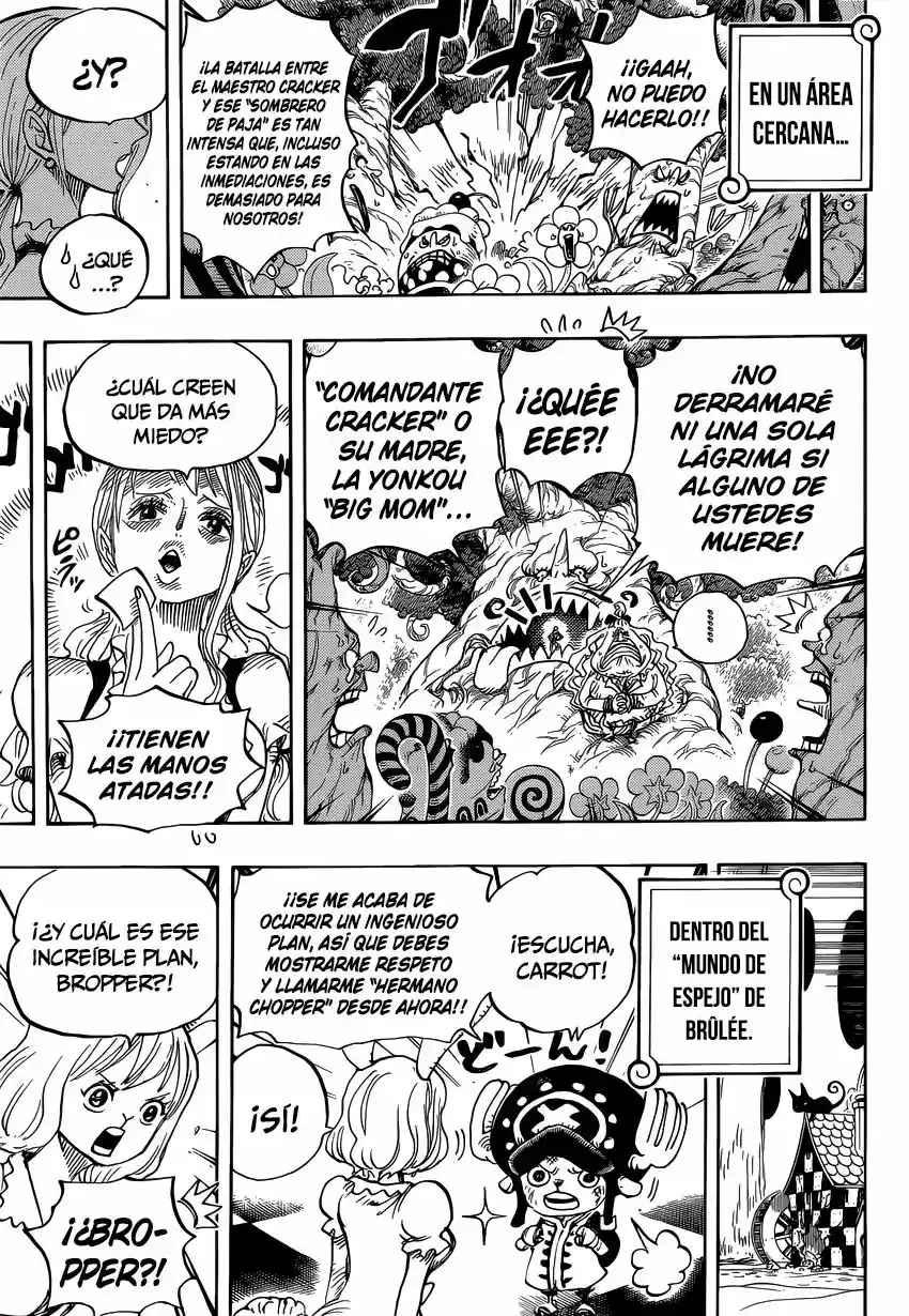 One Piece Capítulo 838 - Página 12 en español
