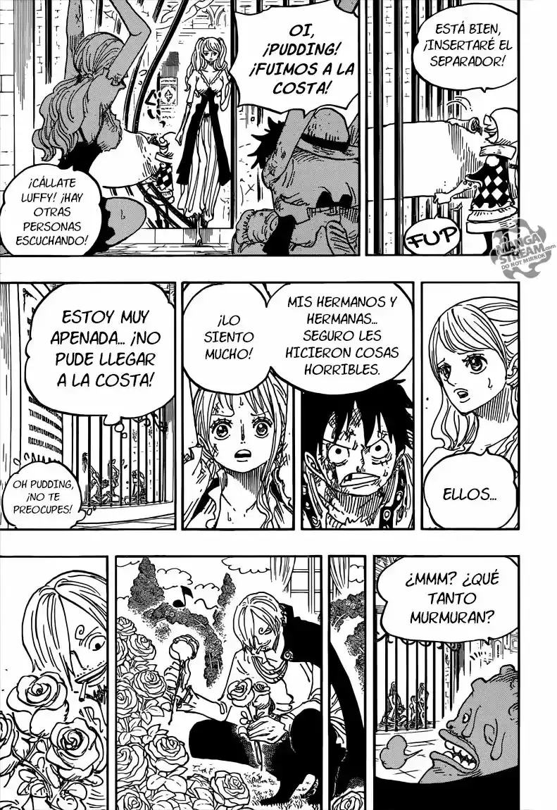 One Piece Capítulo 848 - Página 17 en español