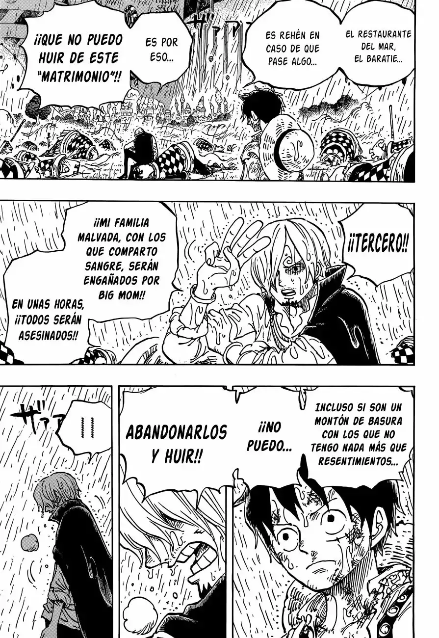 One Piece Capítulo 856 - Página 14 en español