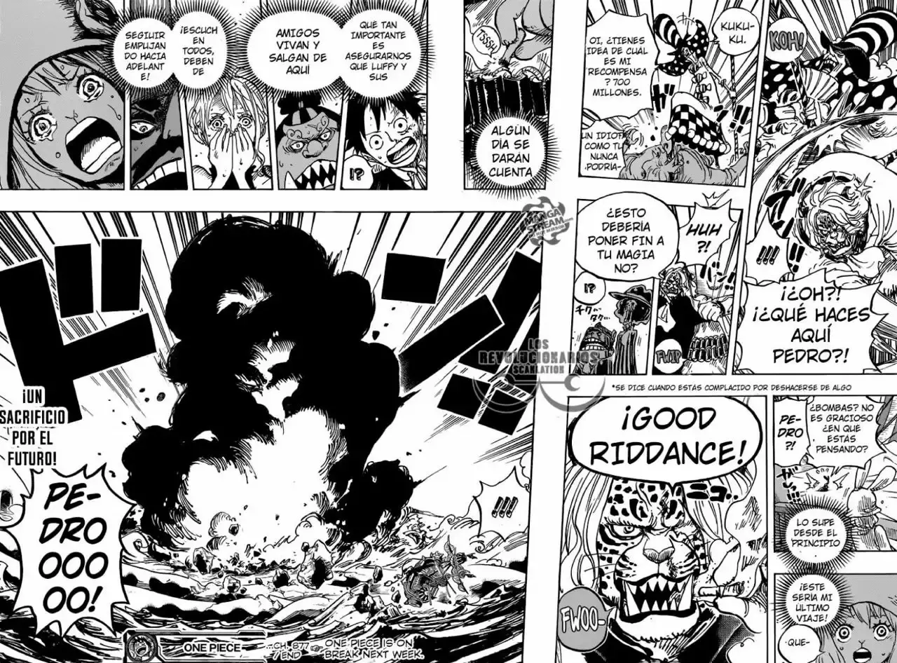 One Piece Capítulo 877 - Página 16 en español