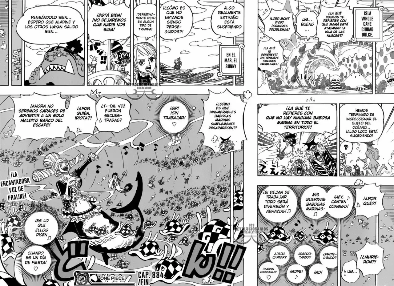 One Piece Capítulo 884 - Página 17 en español