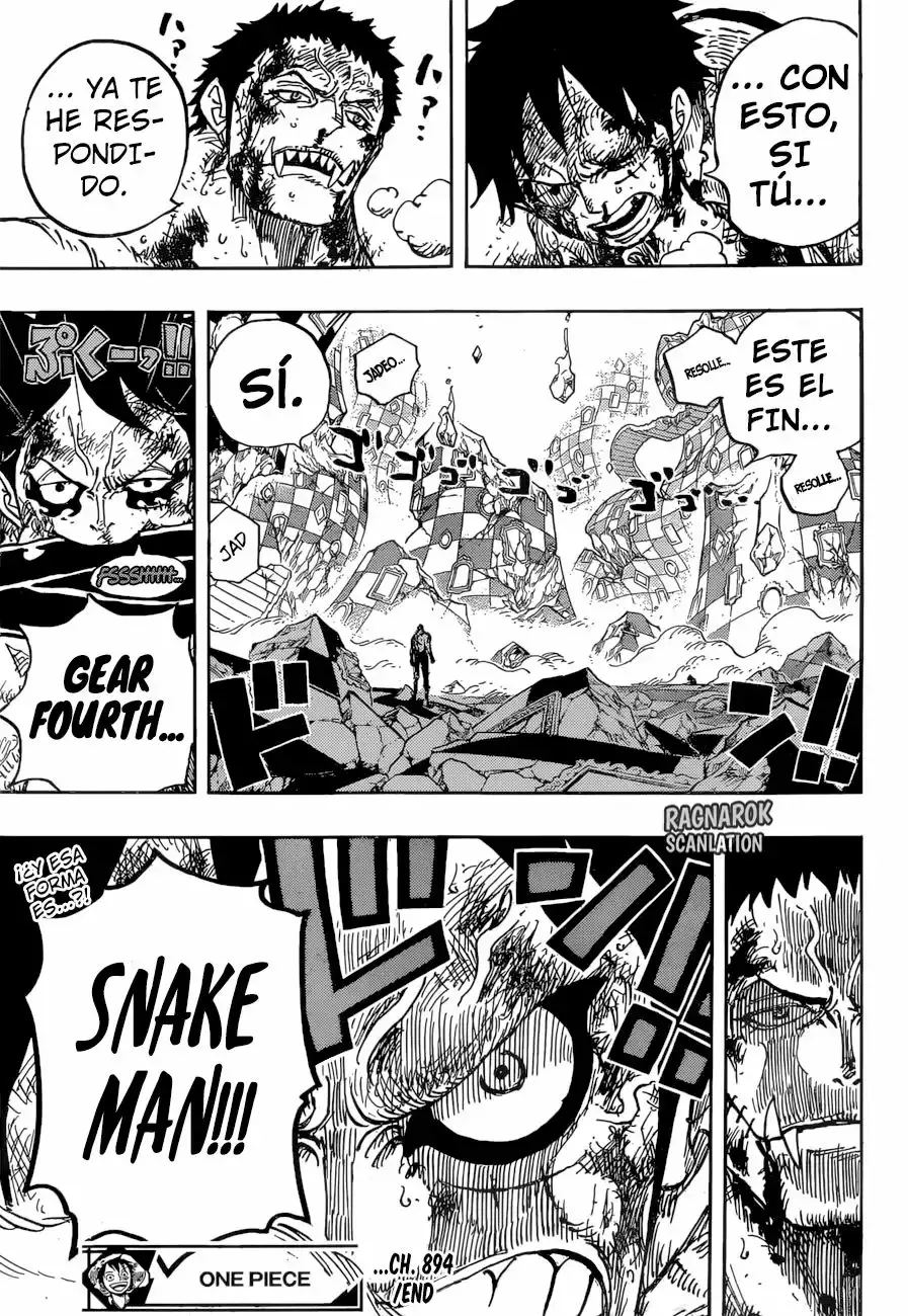 One Piece Capítulo 894 - Página 17 en español