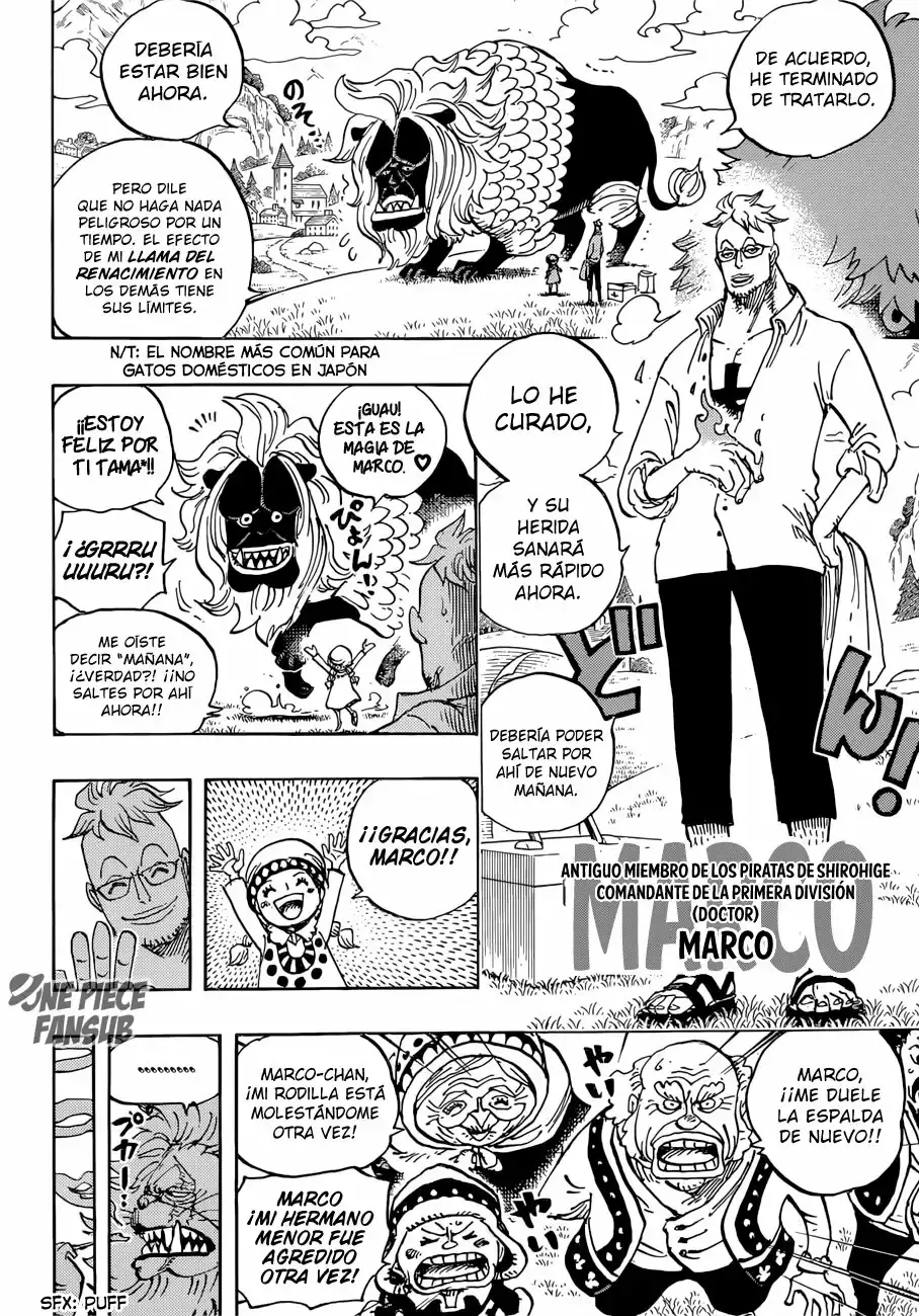 One Piece Capítulo 909 - Página 5 en español