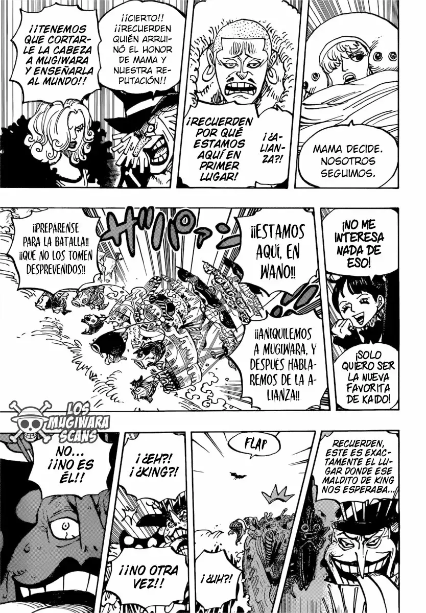 One Piece Capítulo 981 - Página 18 en español
