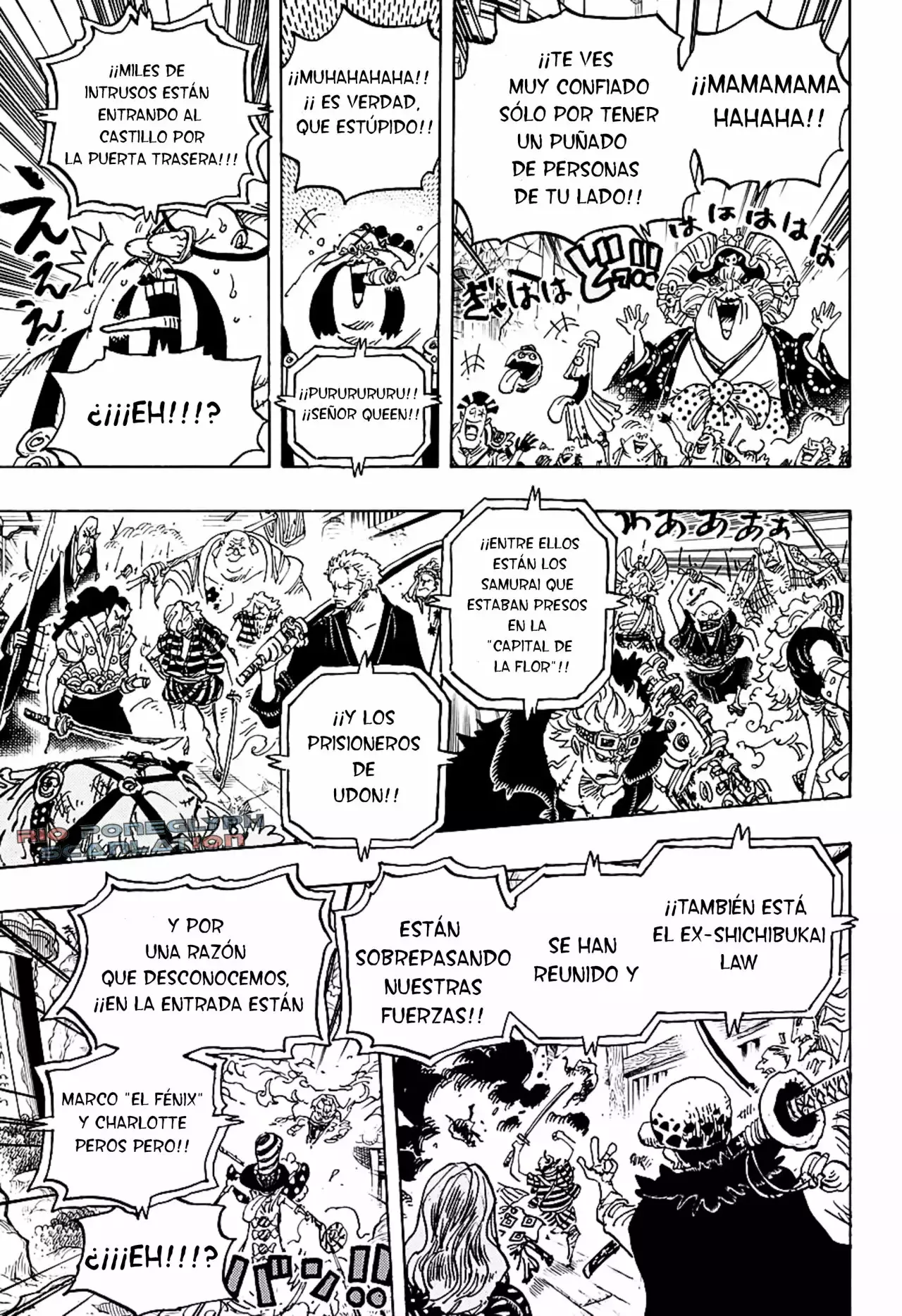 One Piece Capítulo 987.5 - Página 13 en español