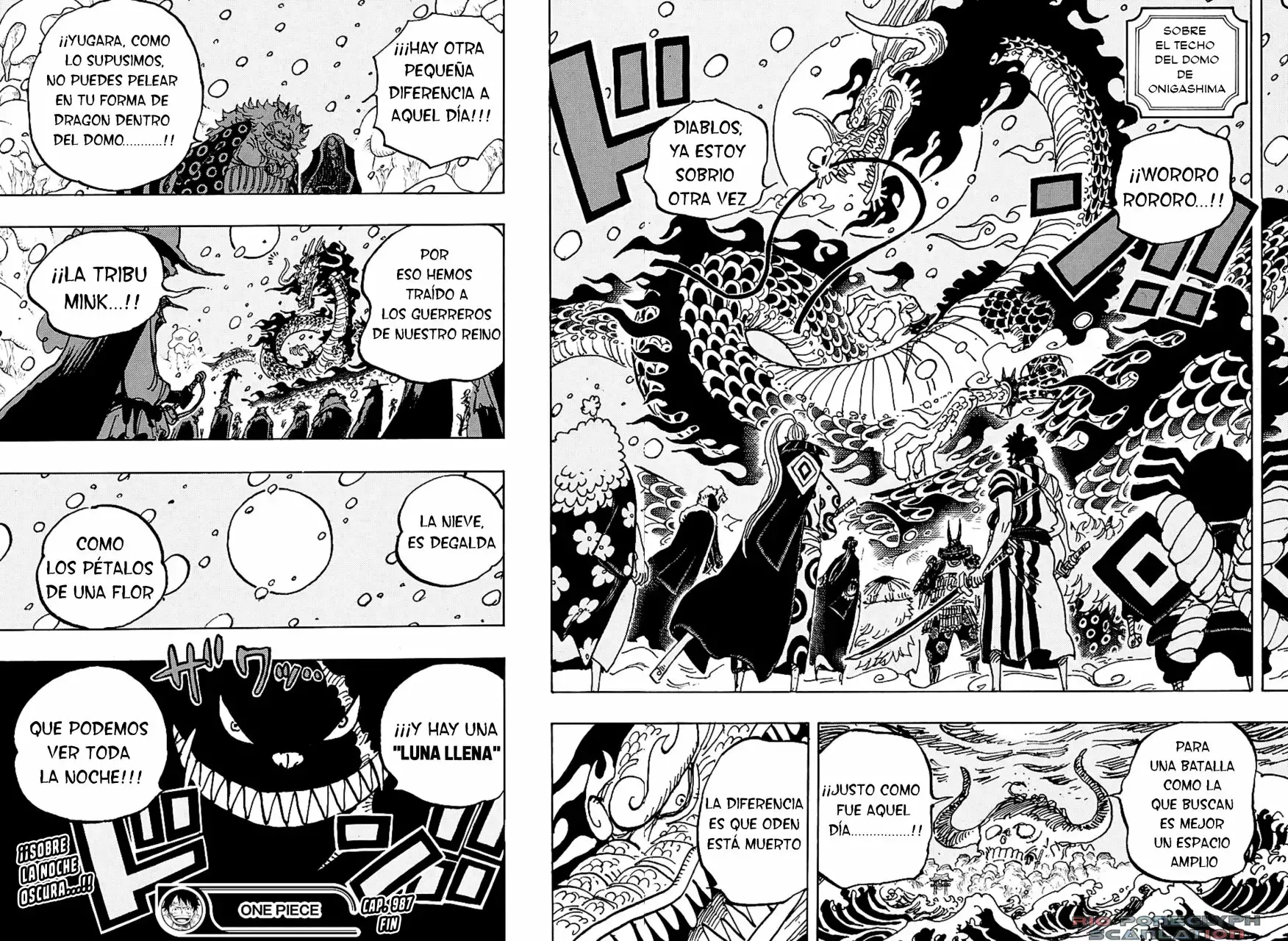 One Piece Capítulo 987.5 - Página 15 en español