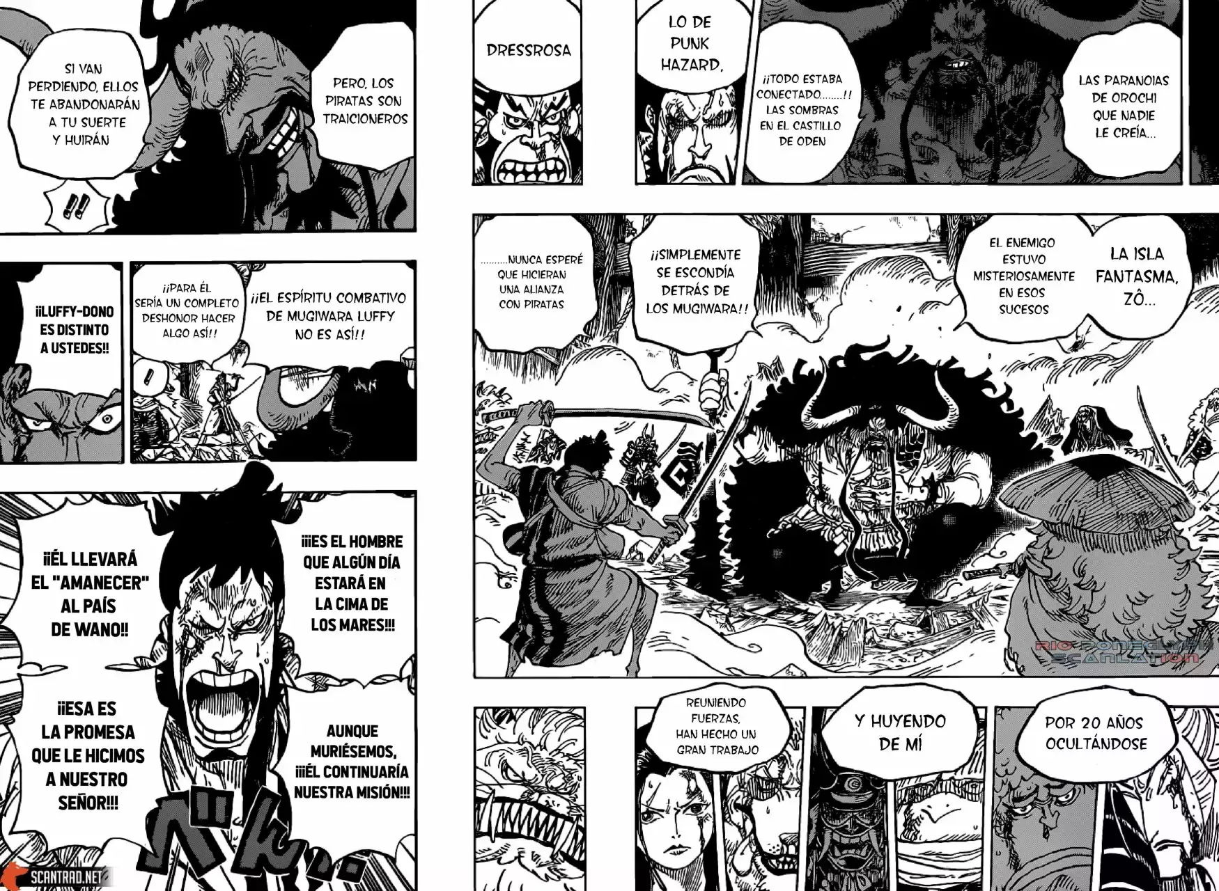 One Piece Capítulo 987 - Página 11 en español