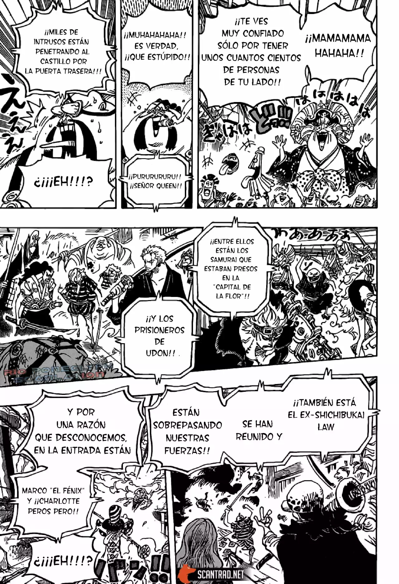 One Piece Capítulo 987 - Página 13 en español