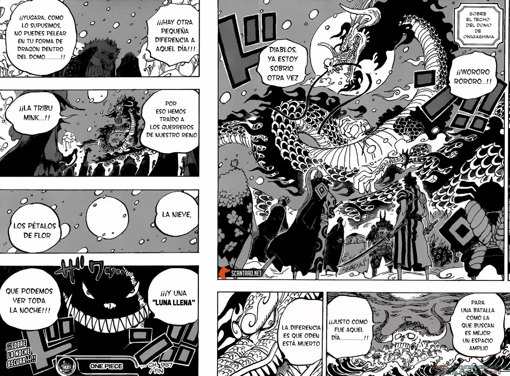 One Piece Capítulo 987 - Página 15 en español