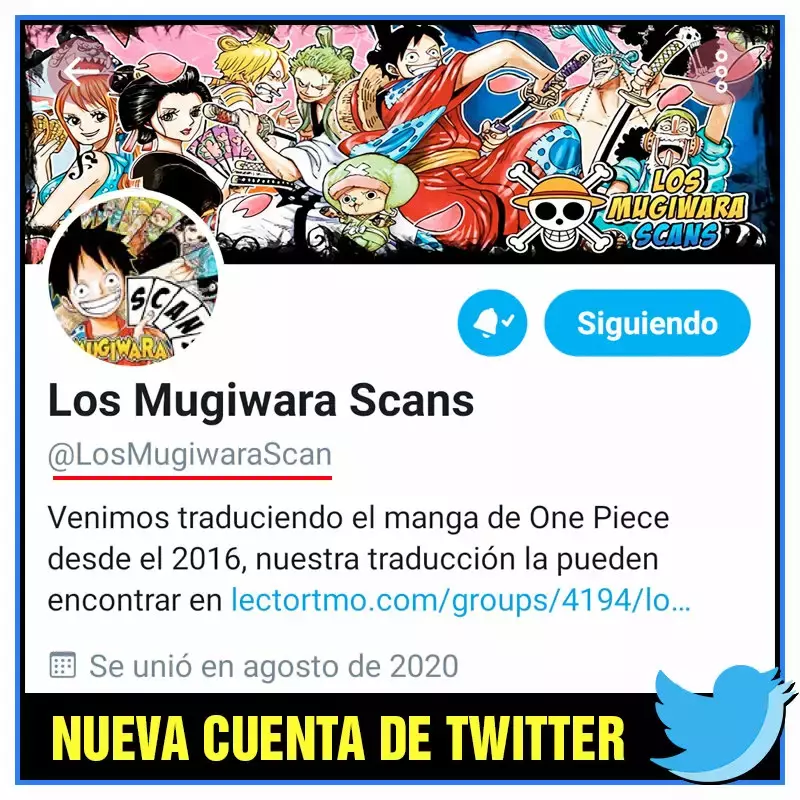 One Piece Capítulo 988 - Página 16 en español