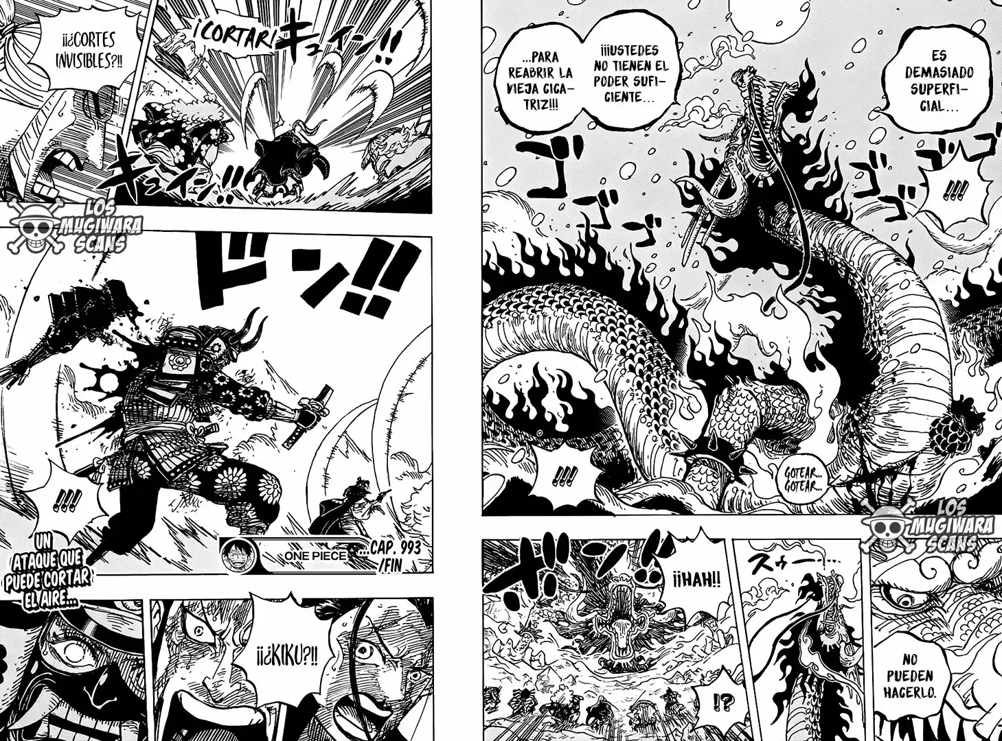 One Piece Capítulo 993.5 - Página 16 en español