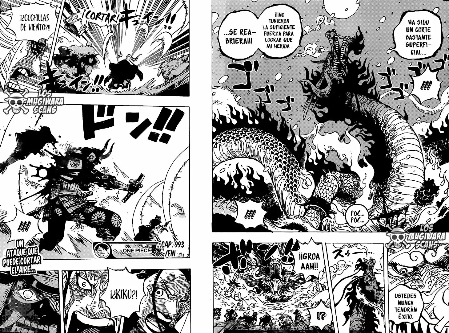 One Piece Capítulo 993 - Página 17 en español