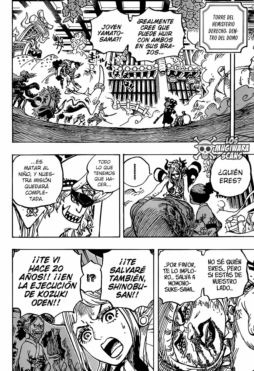 One Piece Capítulo 994.5 - Página 14 en español