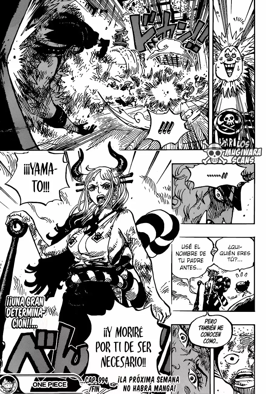 One Piece Capítulo 994.5 - Página 17 en español
