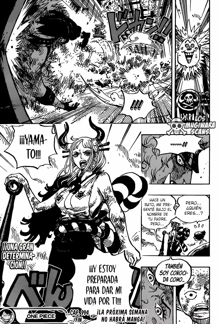 One Piece Capítulo 994 - Página 18 en español