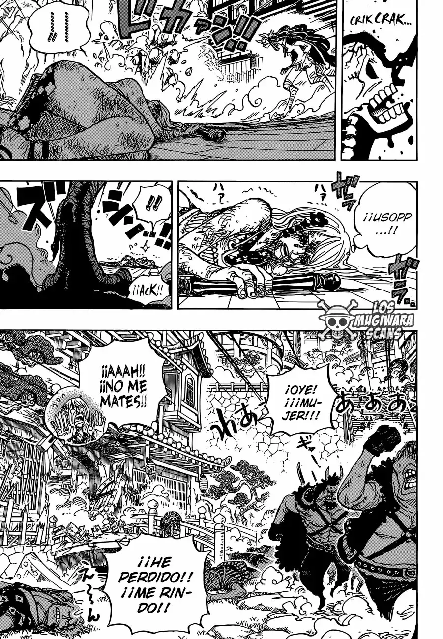One Piece Capítulo 995.5 - Página 15 en español
