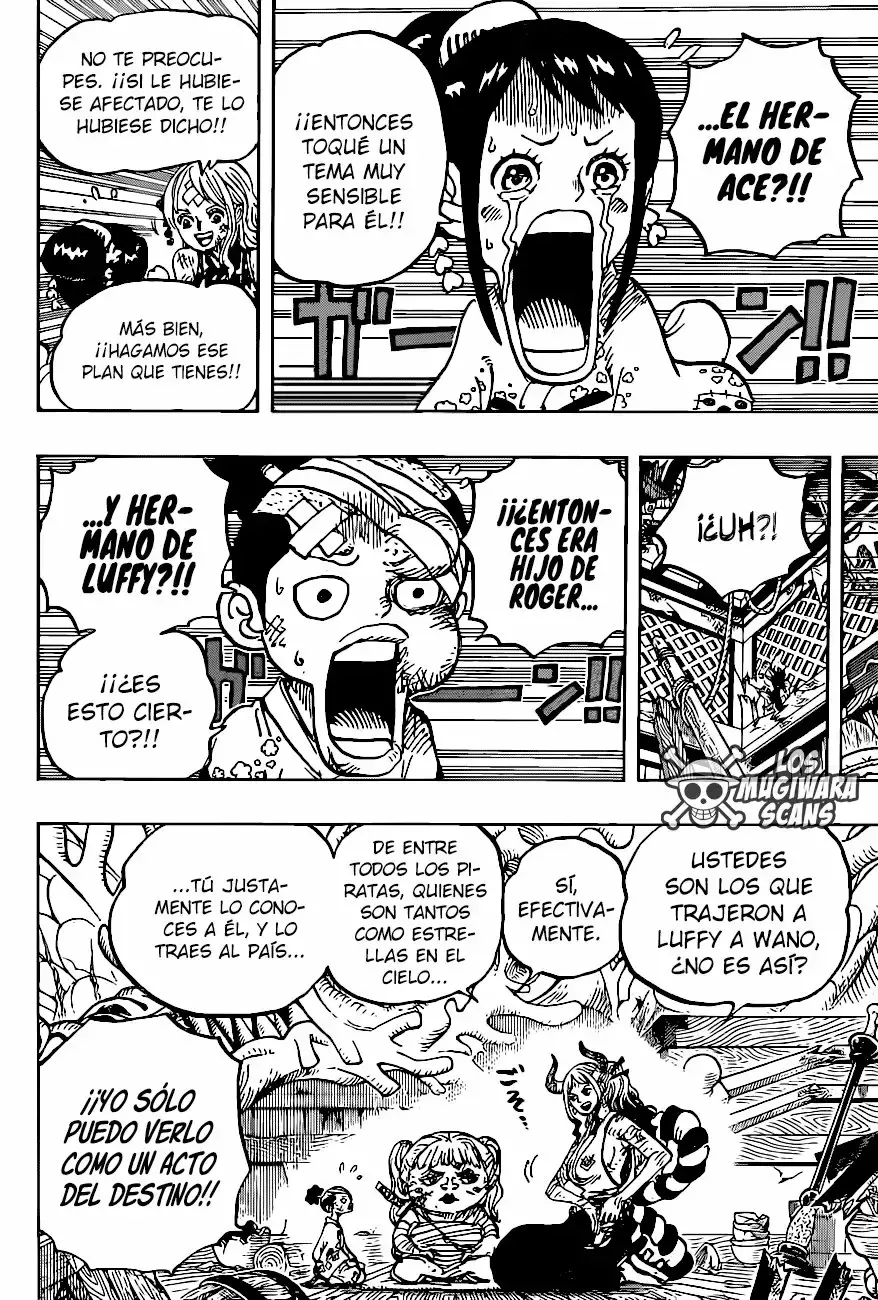 One Piece Capítulo 999.5 - Página 17 en español