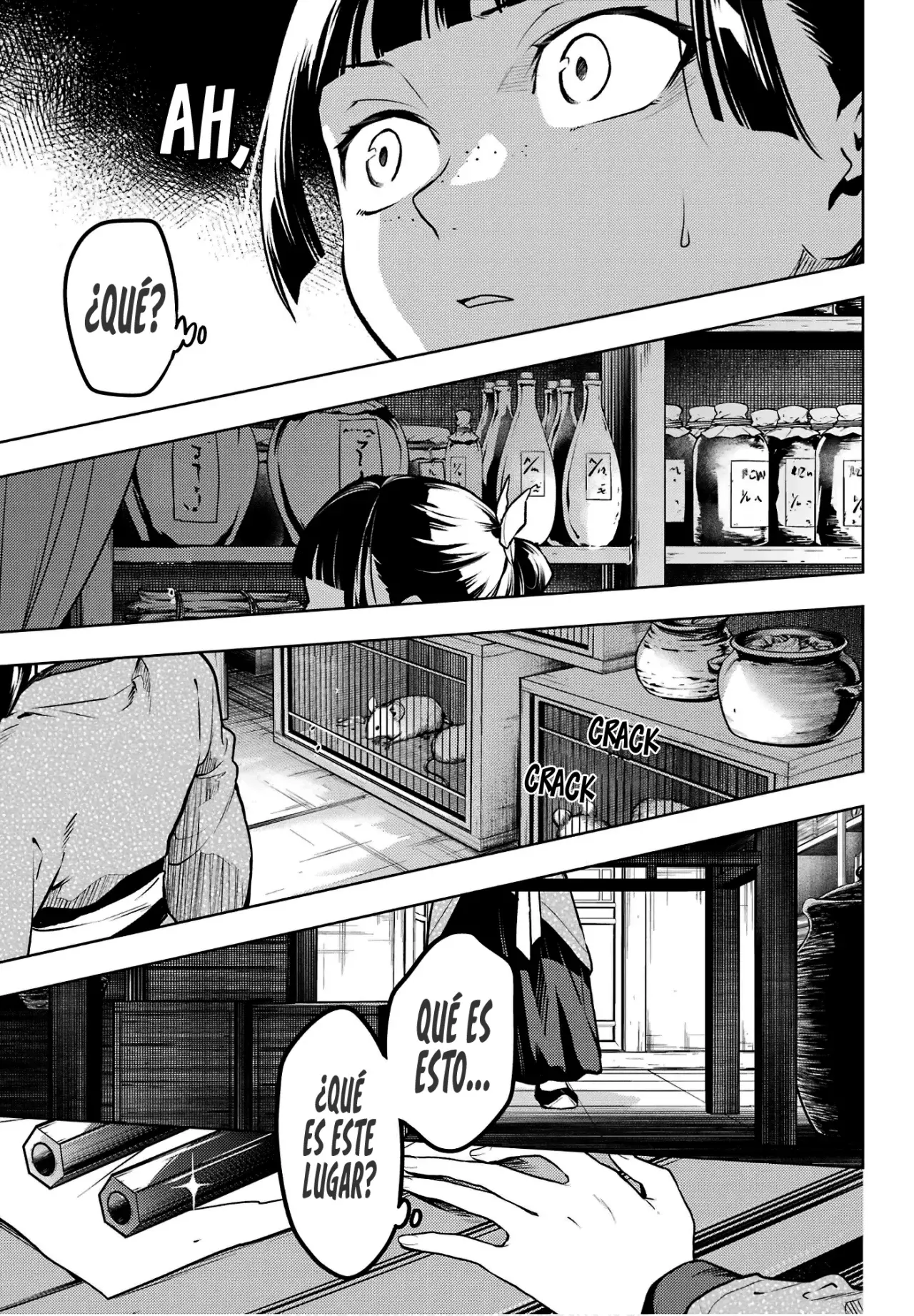 Kusuriya no Hitorigoto Capítulo 77.2 - Página 9 en español