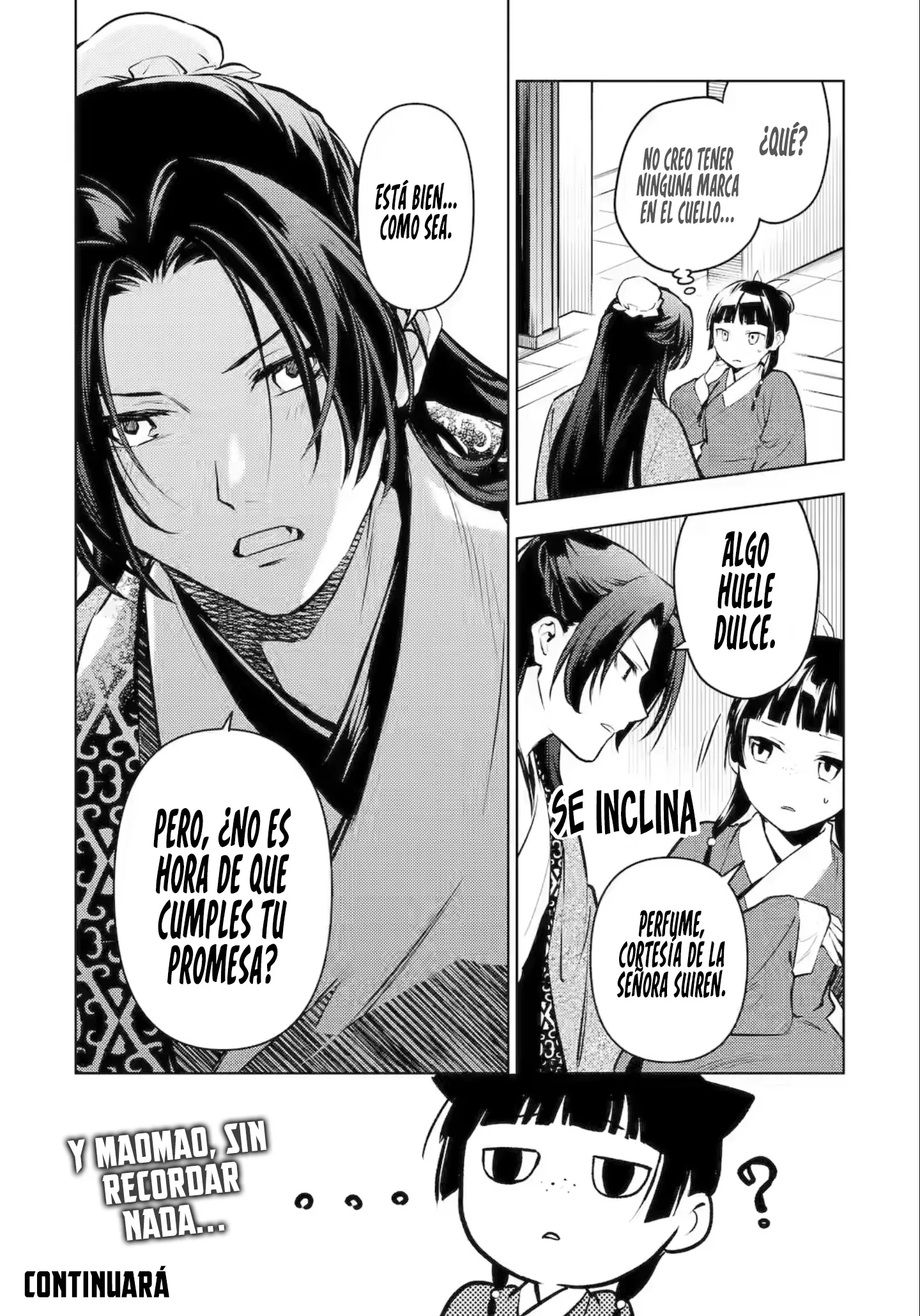 Kusuriya no Hitorigoto Capítulo 85.1 - Página 10 en español