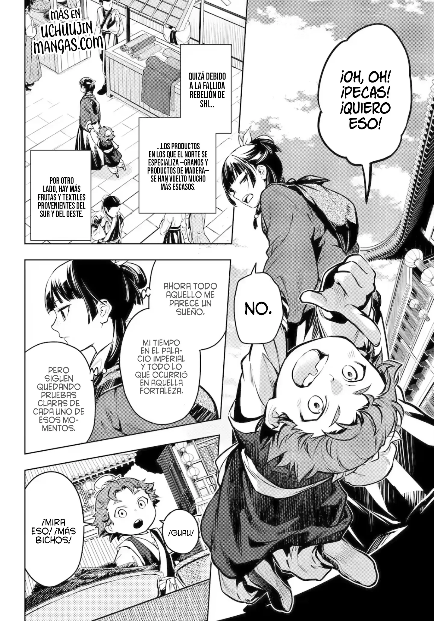 Kusuriya no Hitorigoto Capítulo 86.1 - Página 14 en español