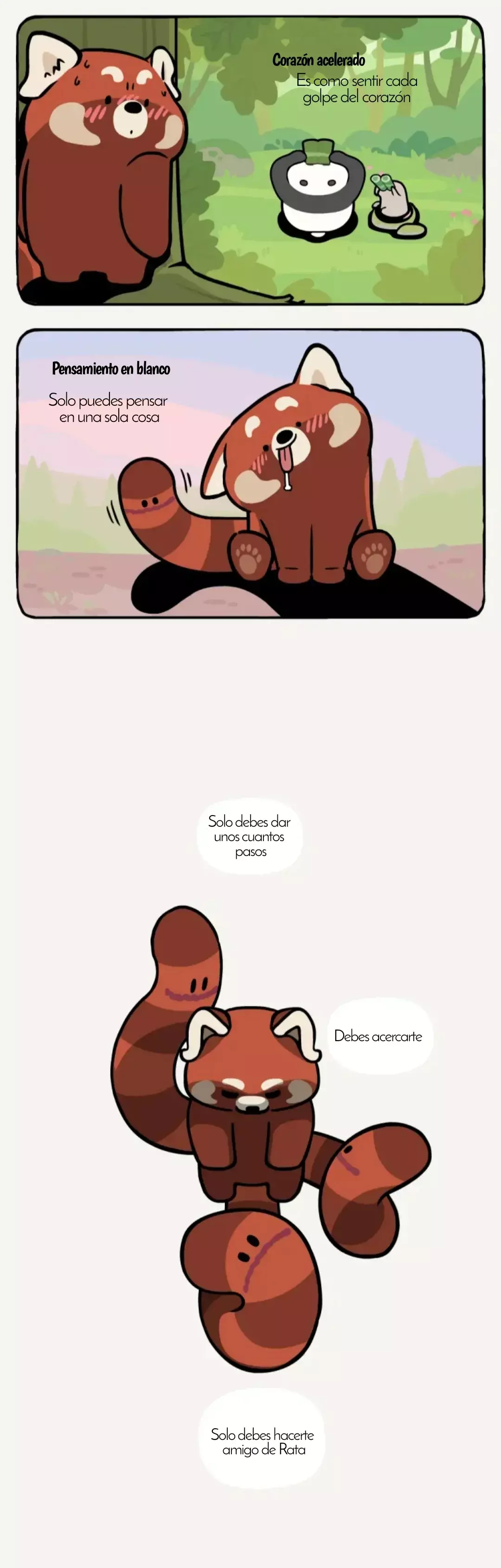 Compañeros de Bambú Capítulo 27 - Página 5 en español