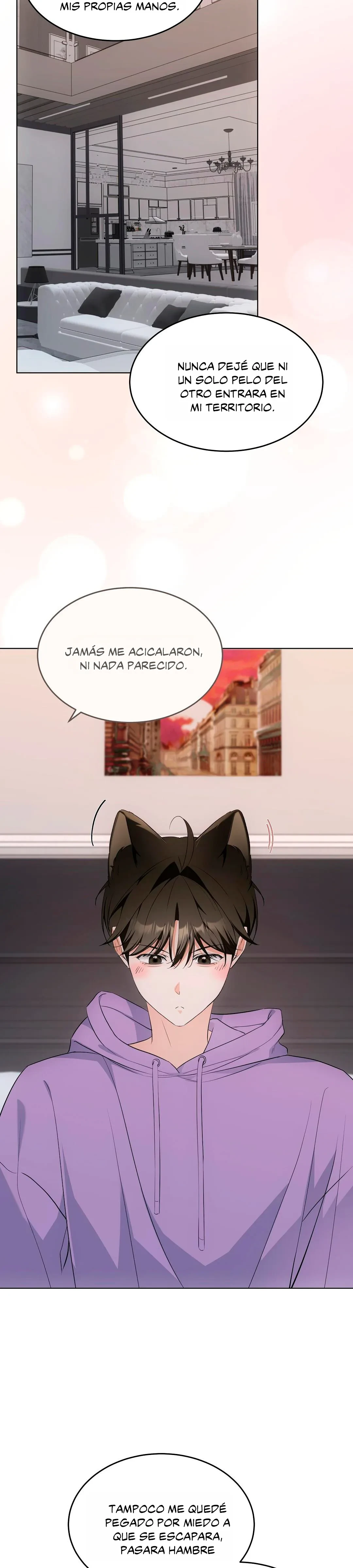 Terapia de gatos Capítulo 16 - Página 21 en español
