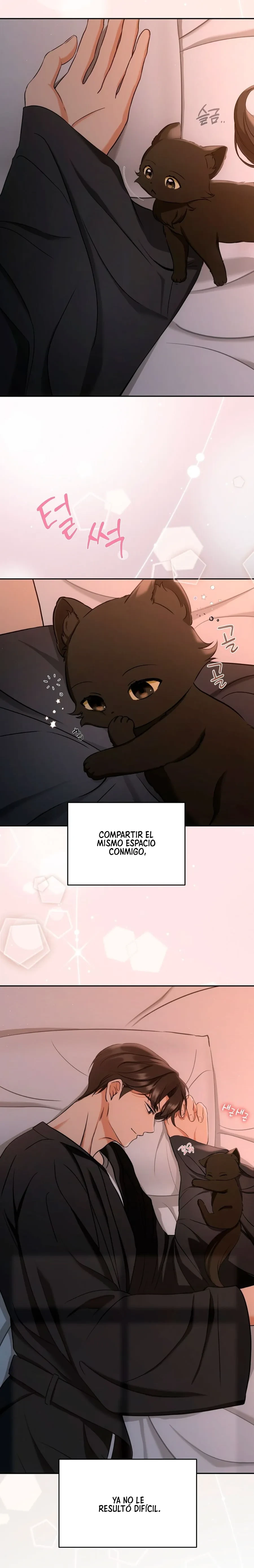Terapia de gatos Capítulo 2 - Página 13 en español