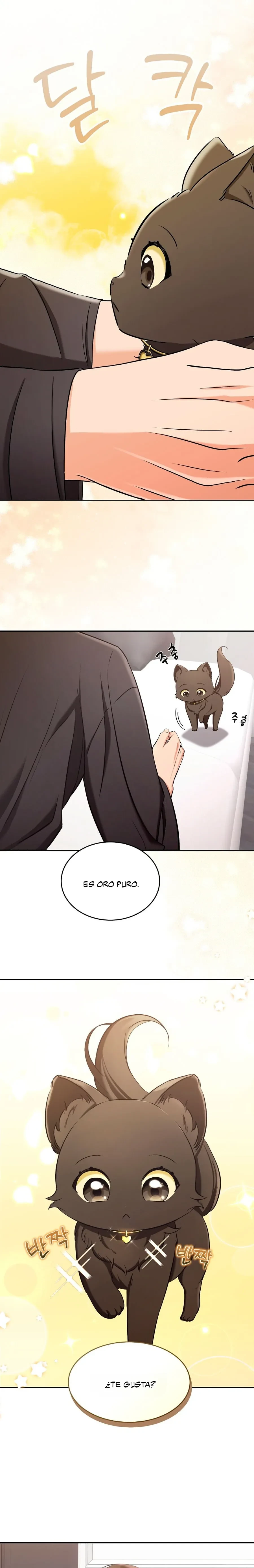 Terapia de gatos Capítulo 2 - Página 17 en español