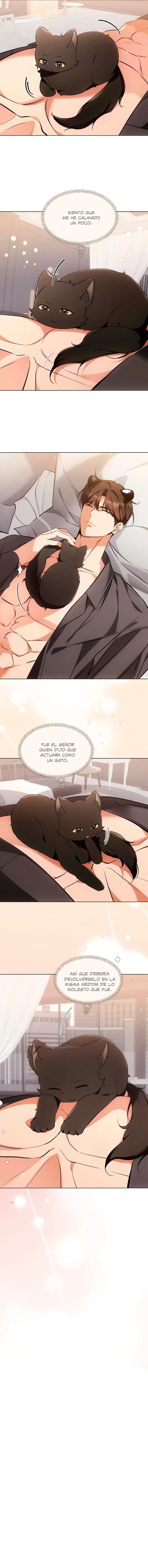 Terapia de gatos Capítulo 21 - Página 7 en español