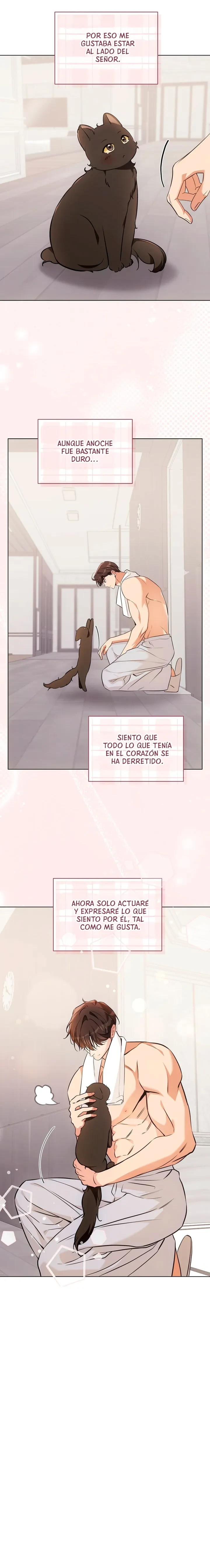 Terapia de gatos Capítulo 22 - Página 7 en español