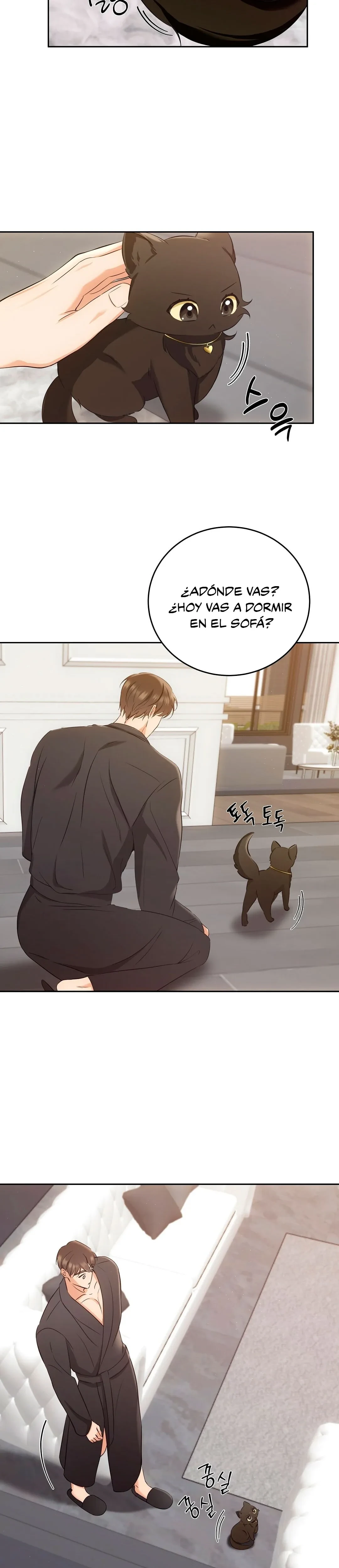 Terapia de gatos Capítulo 3 - Página 5 en español