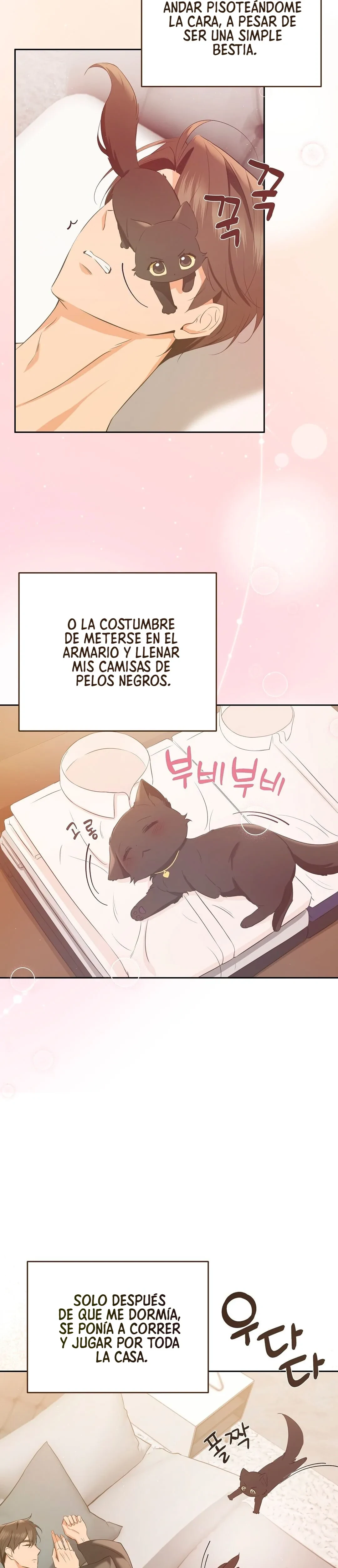 Terapia de gatos Capítulo 4 - Página 7 en español