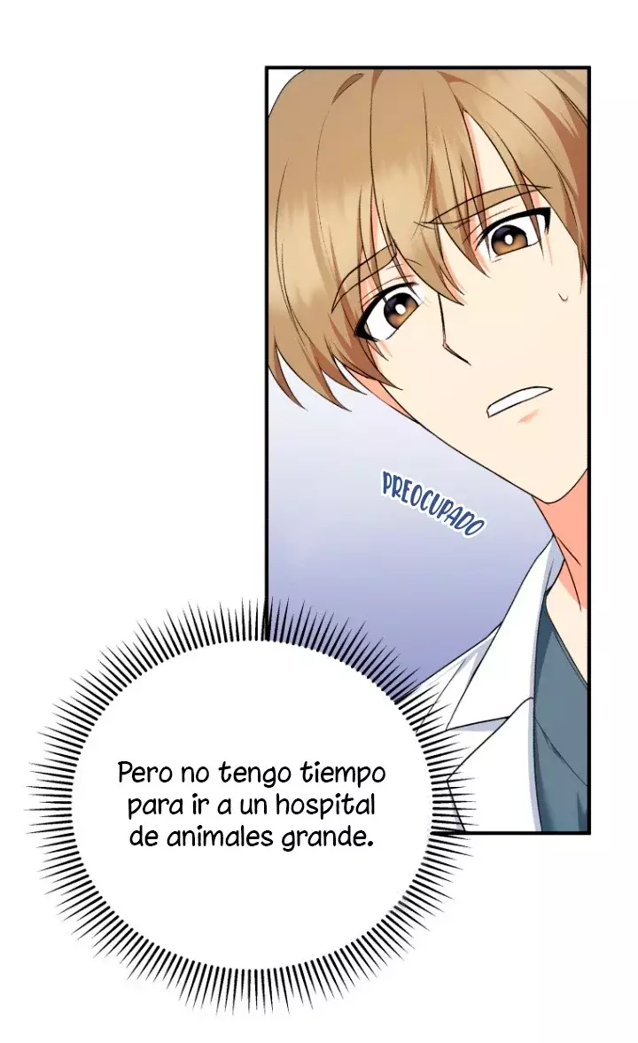 ¡Veterinario! ¿Hola? Capítulo 1 - Página 33 en español