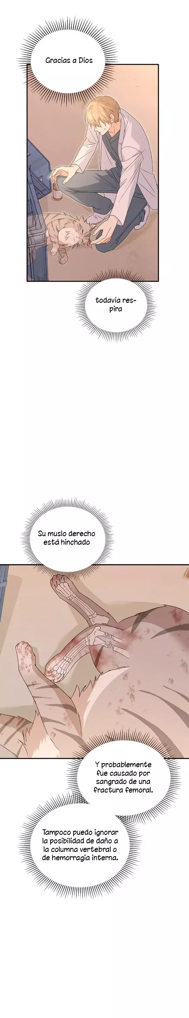 ¡Veterinario! ¿Hola? Capítulo 13 - Página 5 en español