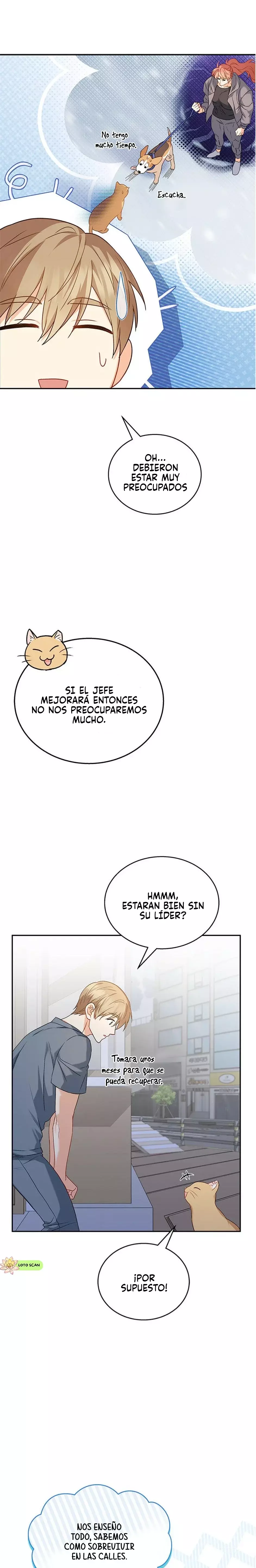 ¡Veterinario! ¿Hola? Capítulo 14 - Página 17 en español