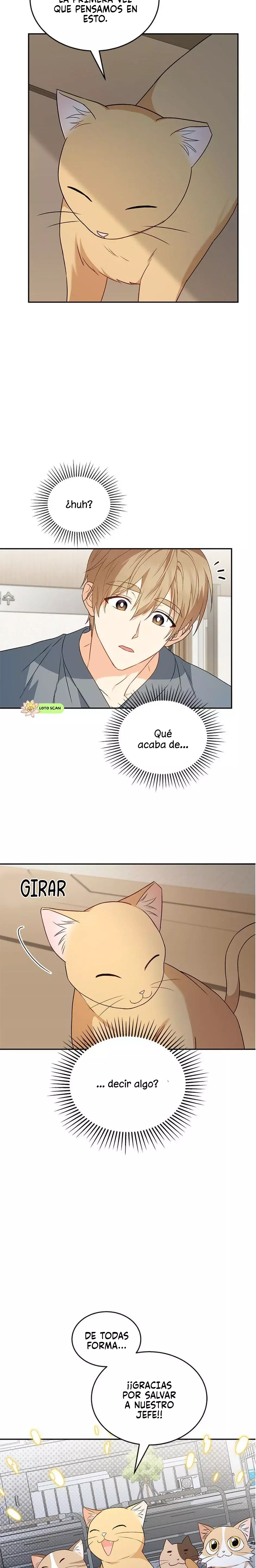 ¡Veterinario! ¿Hola? Capítulo 14 - Página 19 en español