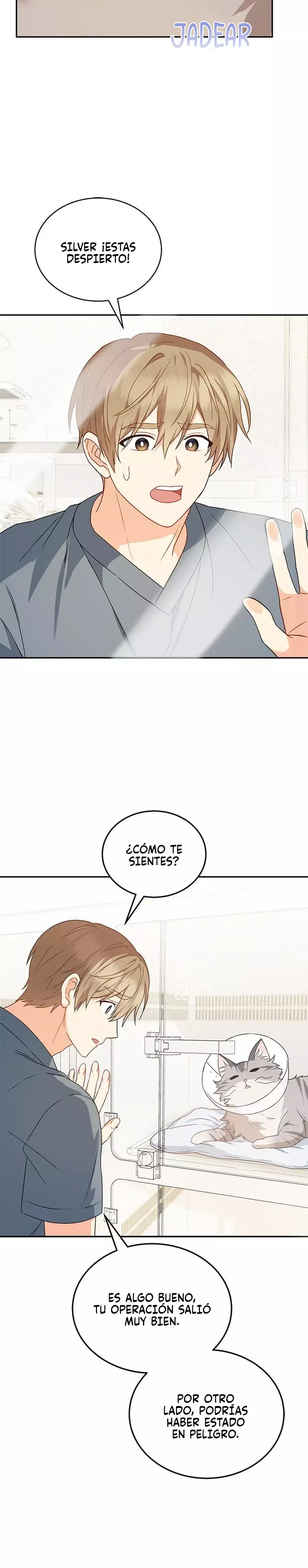 ¡Veterinario! ¿Hola? Capítulo 14 - Página 22 en español