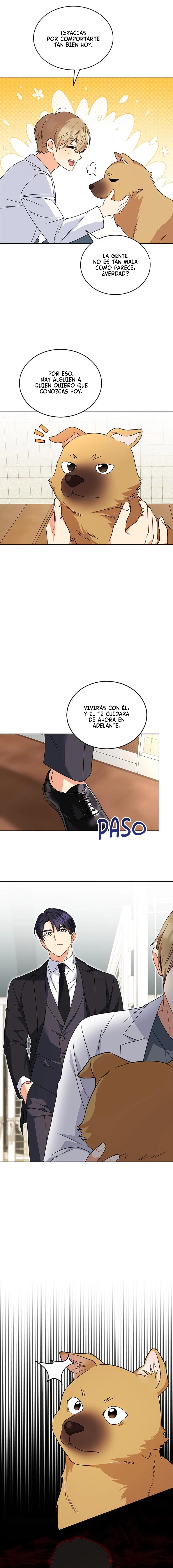 ¡Veterinario! ¿Hola? Capítulo 20 - Página 12 en español