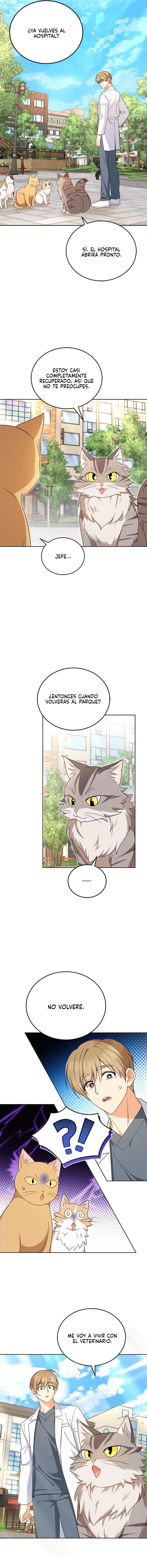 ¡Veterinario! ¿Hola? Capítulo 21 - Página 12 en español