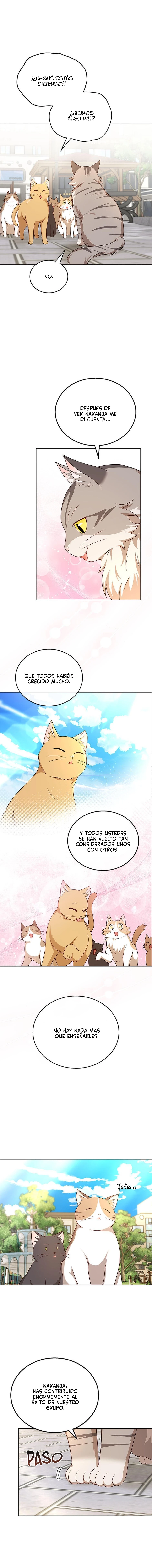 ¡Veterinario! ¿Hola? Capítulo 21 - Página 13 en español